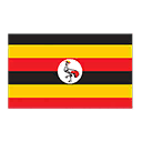 Nation